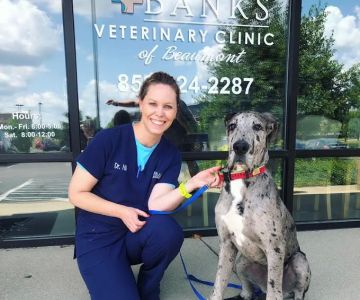 Dr. Kimberly Hill, DVM