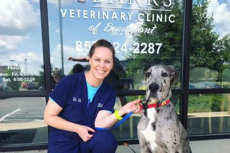 Dr. Kimberly Hill, DVM