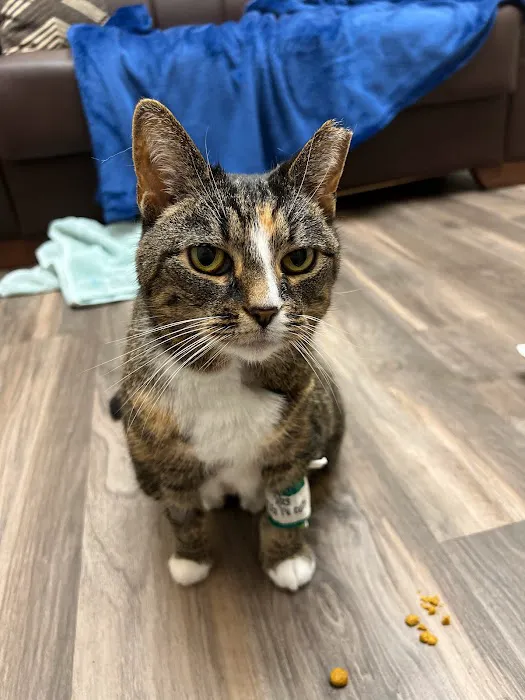 Banks Veterinary Clinic 12