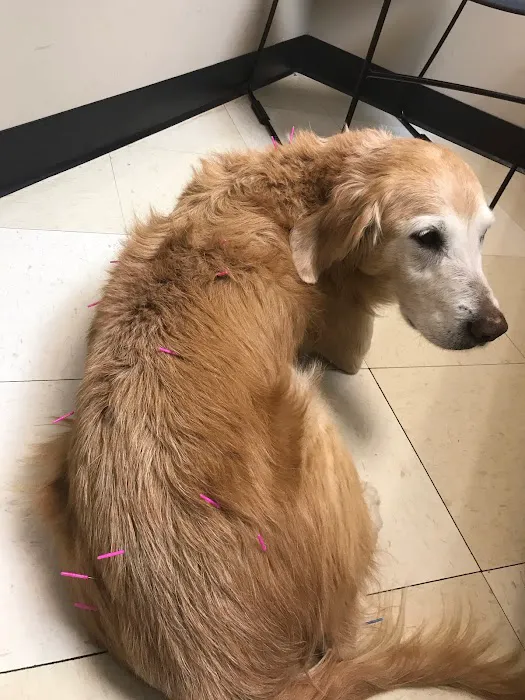 Banks Veterinary Clinic 12