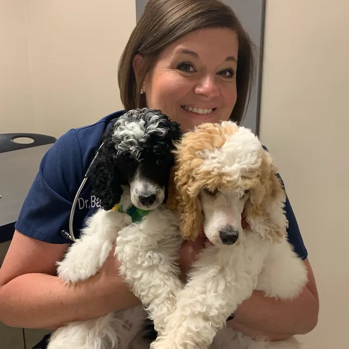 Banks Veterinary Clinic 12
