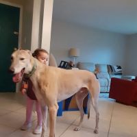 Broadway Veterinary Clinic ico