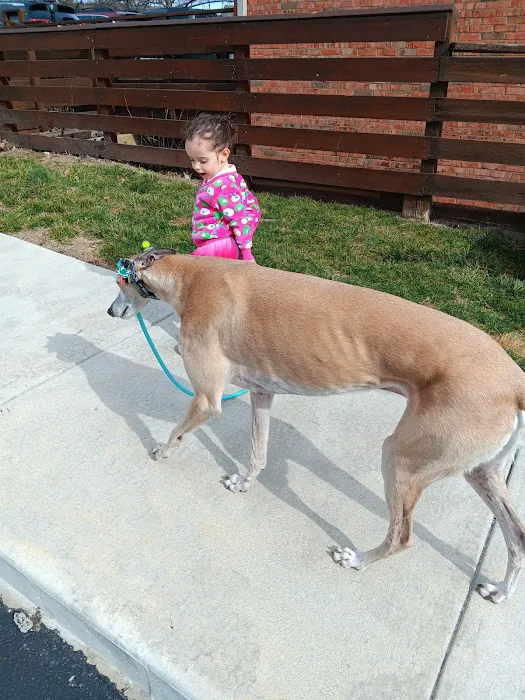 Broadway Veterinary Clinic 12