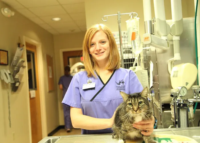 Village Animal Hospital 12