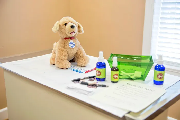 Village Animal Hospital 12