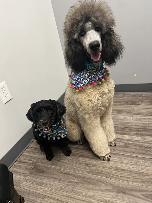 Lexington Animal Clinic 10