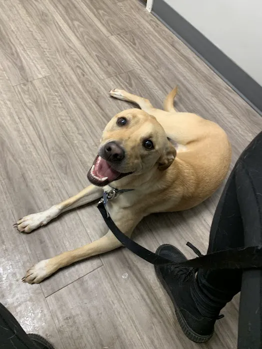 Lexington Animal Clinic 7