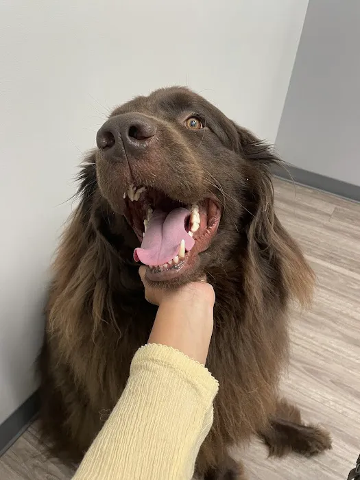 Lexington Animal Clinic 6