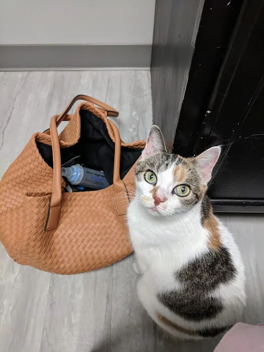 Blue Paw Primary Pet Care 5