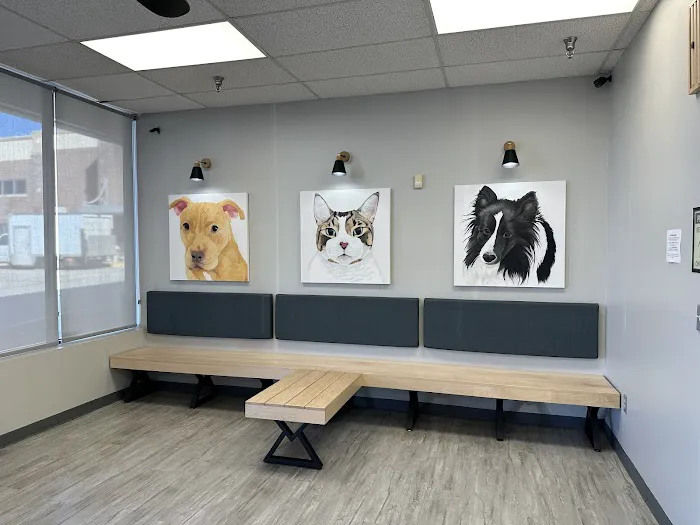 Blue Paw Primary Pet Care 10