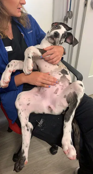 Blue Paw Primary Pet Care 8