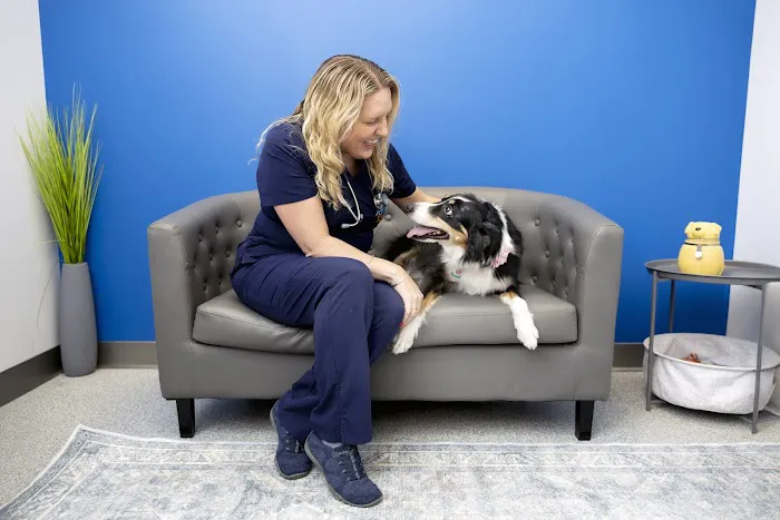 PetVet365 Pet Hospital Lexington/Richmond Rd 3