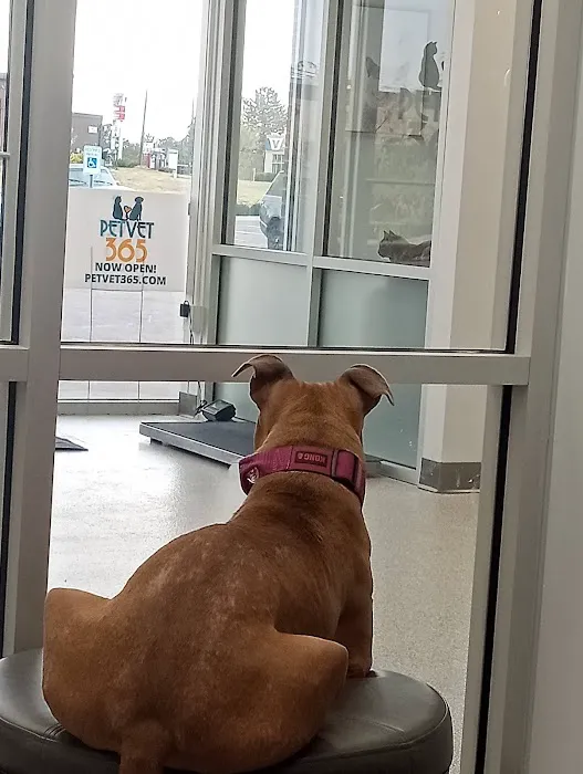 PetVet365 Pet Hospital Lexington/Richmond Rd 4