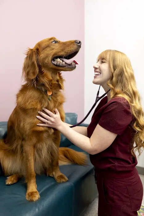 PetVet365 Pet Hospital Lexington/Richmond Rd 6
