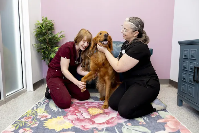 PetVet365 Pet Hospital Lexington/Richmond Rd 9