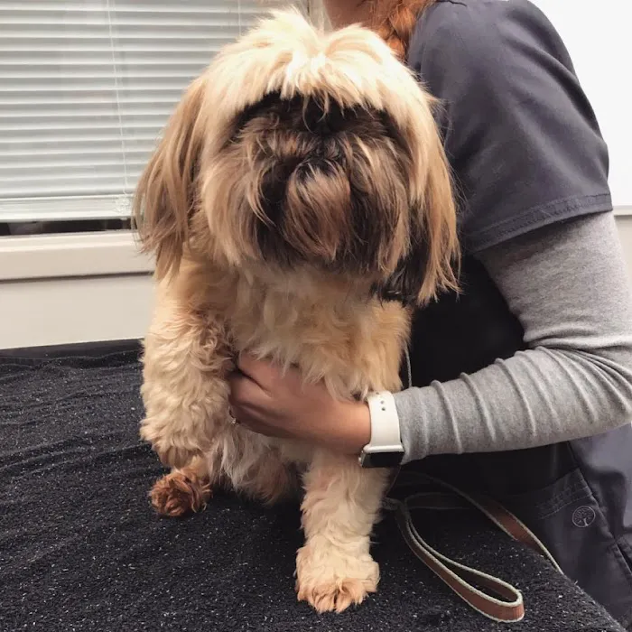 Richmond Road Veterinary Clinic 6