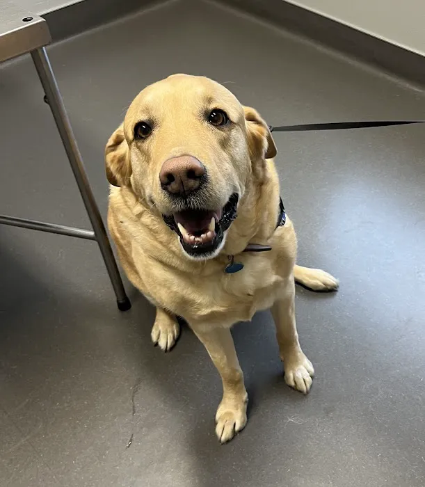 Richmond Road Veterinary Clinic 10