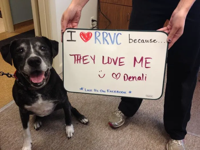 Richmond Road Veterinary Clinic 3