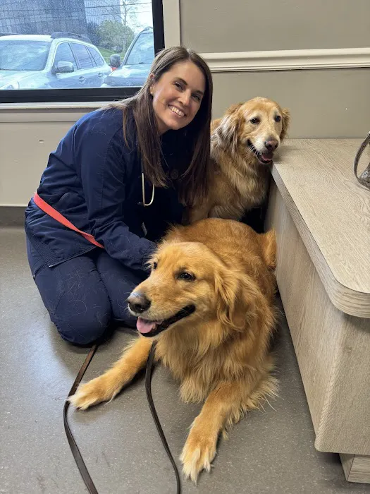 Richmond Road Veterinary Clinic 5