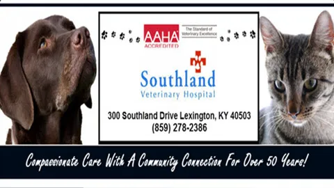 Southland Veterinary Hospital 12