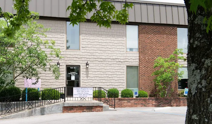 Lexington Hospital For Cats 12