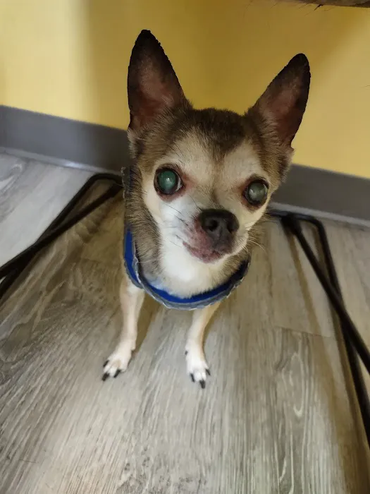 Pennyroyal Small & Exotic Animal Hospital 12