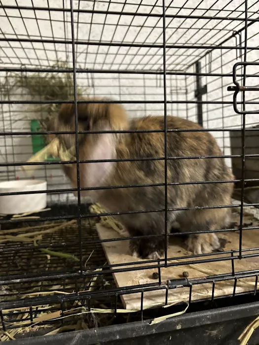 Pennyroyal Small & Exotic Animal Hospital 12