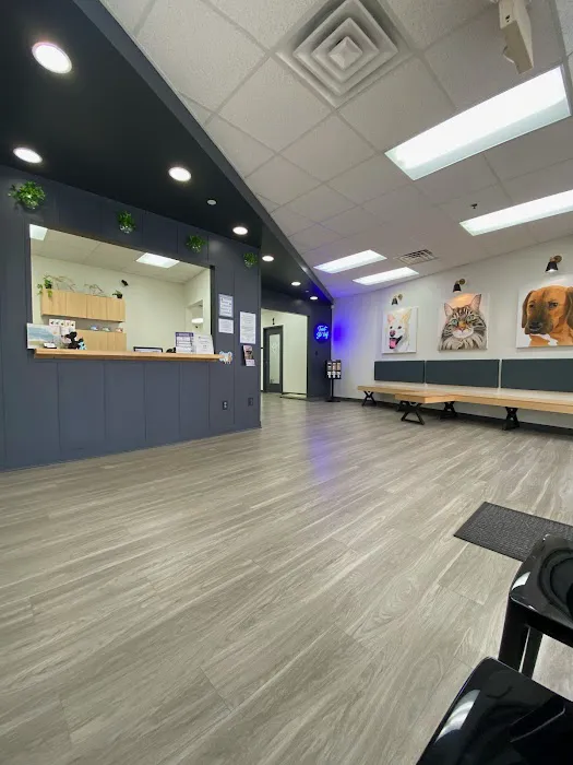 Blue Paw Primary Pet Care 12