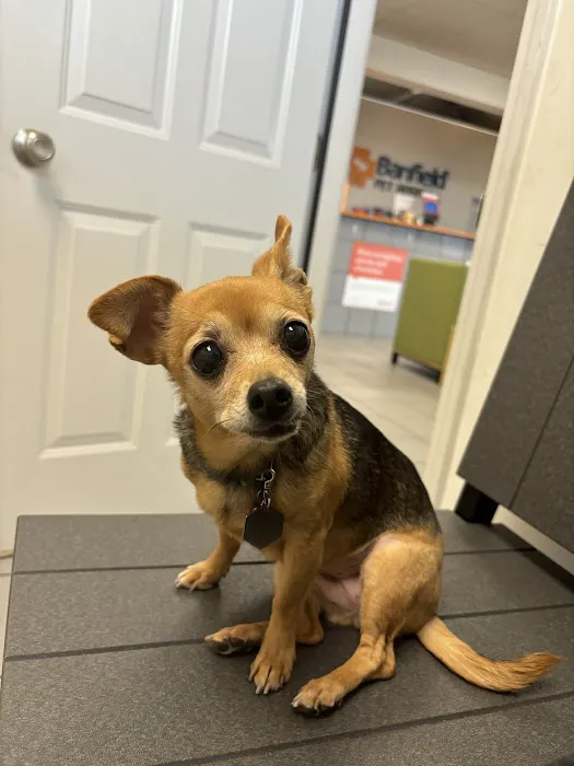 Banfield Pet Hospital 3