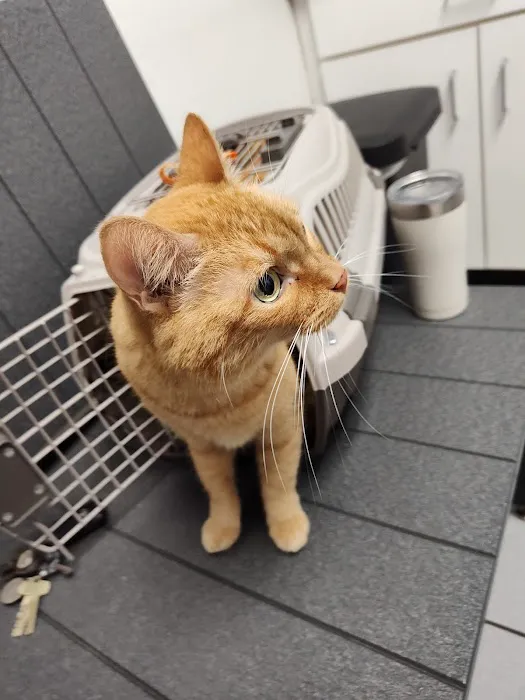 Banfield Pet Hospital 7