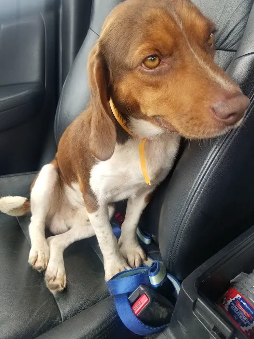 Banfield Pet Hospital 8