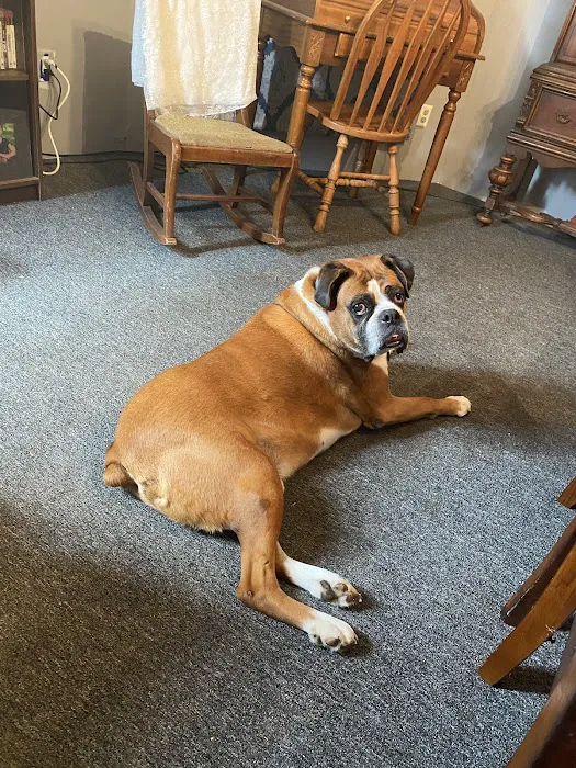 Fleming County Animal Hospital 4