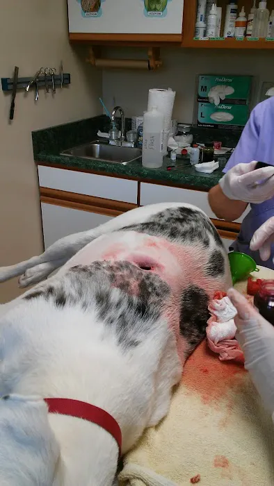 Fleming County Animal Hospital 8