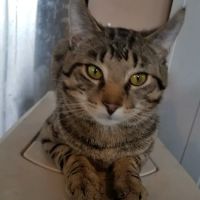 Fleming County Animal Hospital ico