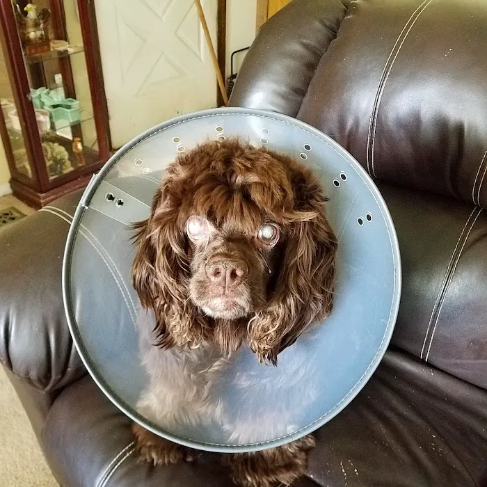Fayette Veterinary Hospital 9