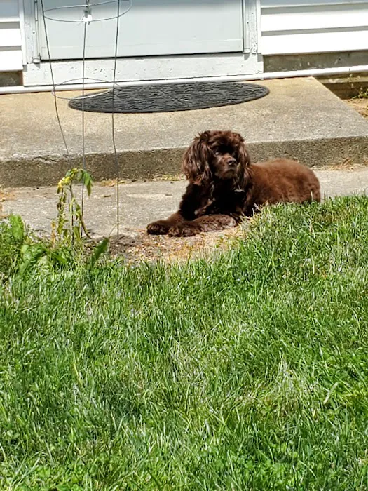Fayette Veterinary Hospital 4