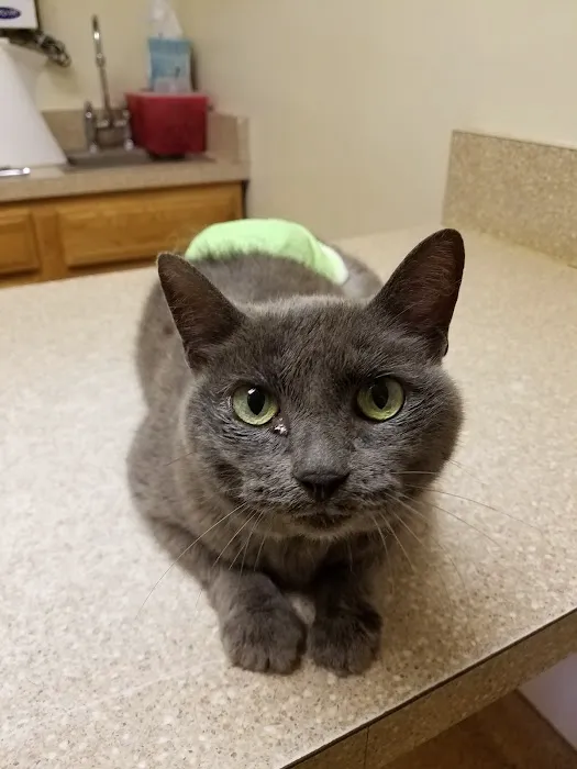 Fayette Veterinary Hospital 6