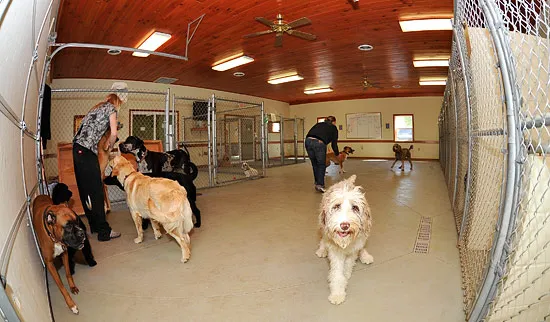 North Fork Animal Clinic 1