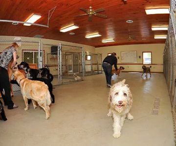 North Fork Animal Clinic