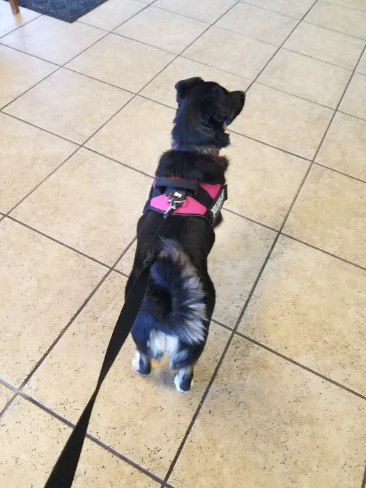 Animal Care Clinic, Dr Lisa Pelfrey 9