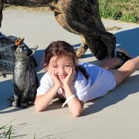 Nord Animal Hospital ico