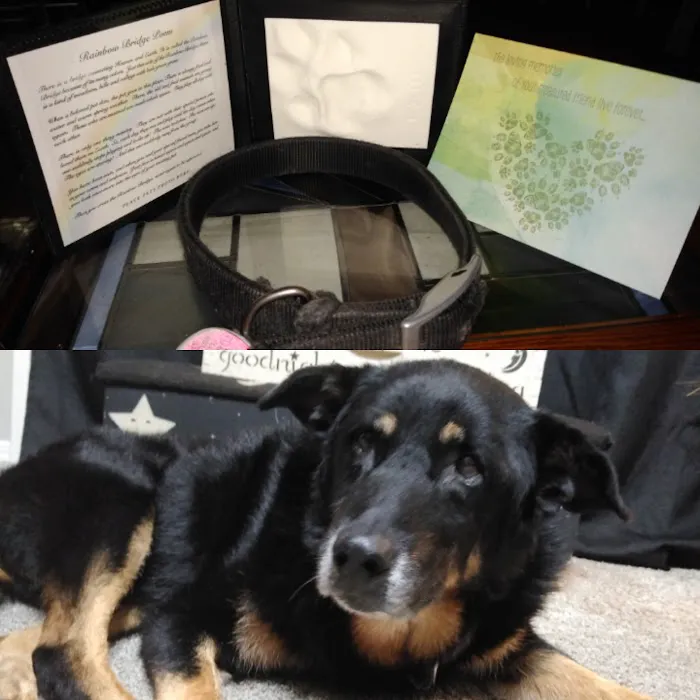Animal Emergency Clinic 6