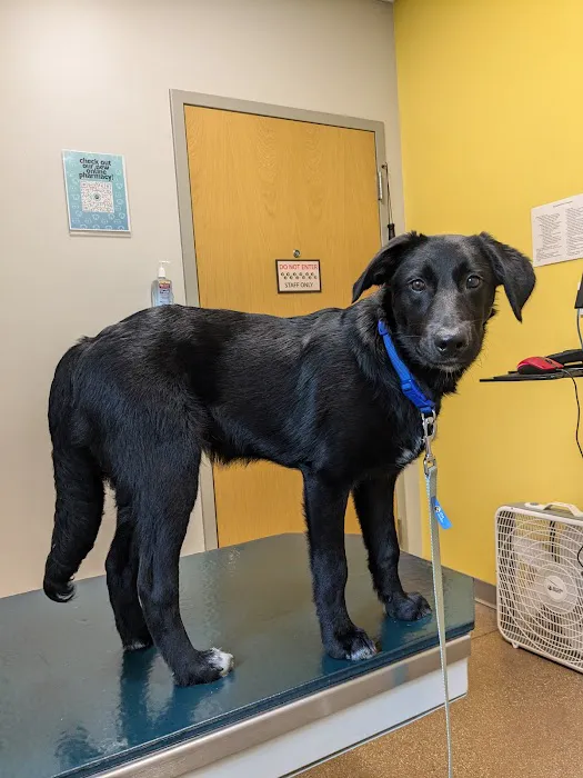 Highland Pet Hospital 2