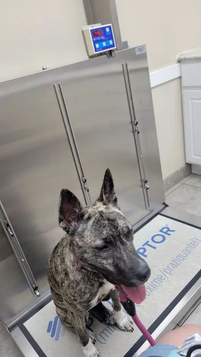Associated Veterinary Clinic 8