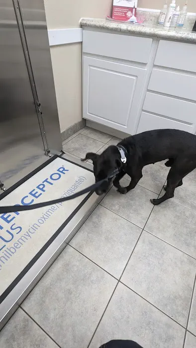 Associated Veterinary Clinic 1