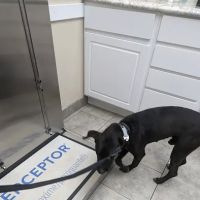 Associated Veterinary Clinic ico