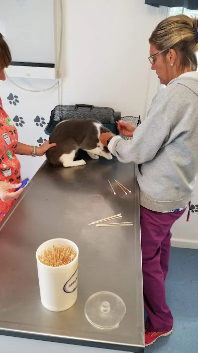 4 Paws Animal Clinic 7