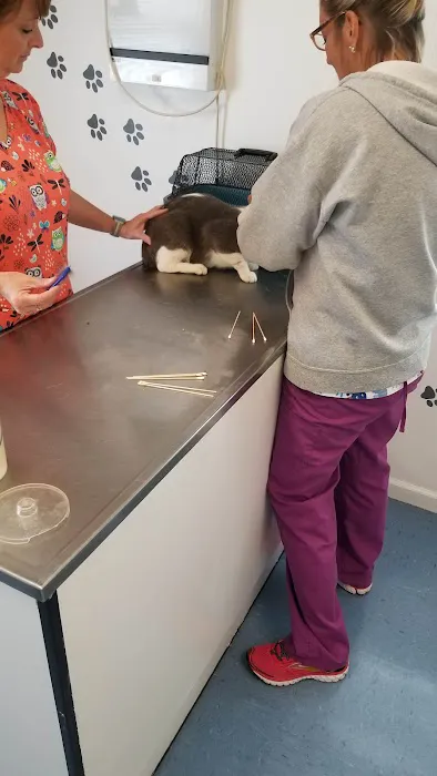 4 Paws Animal Clinic 5