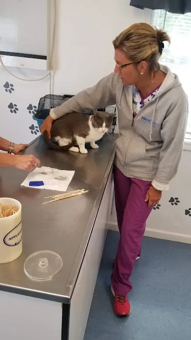 4 Paws Animal Clinic 4