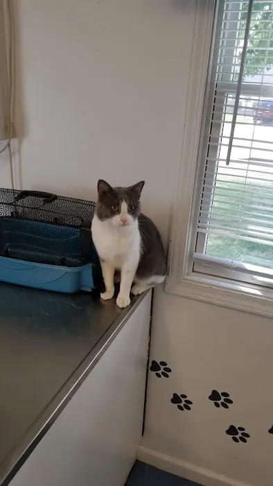 4 Paws Animal Clinic 8